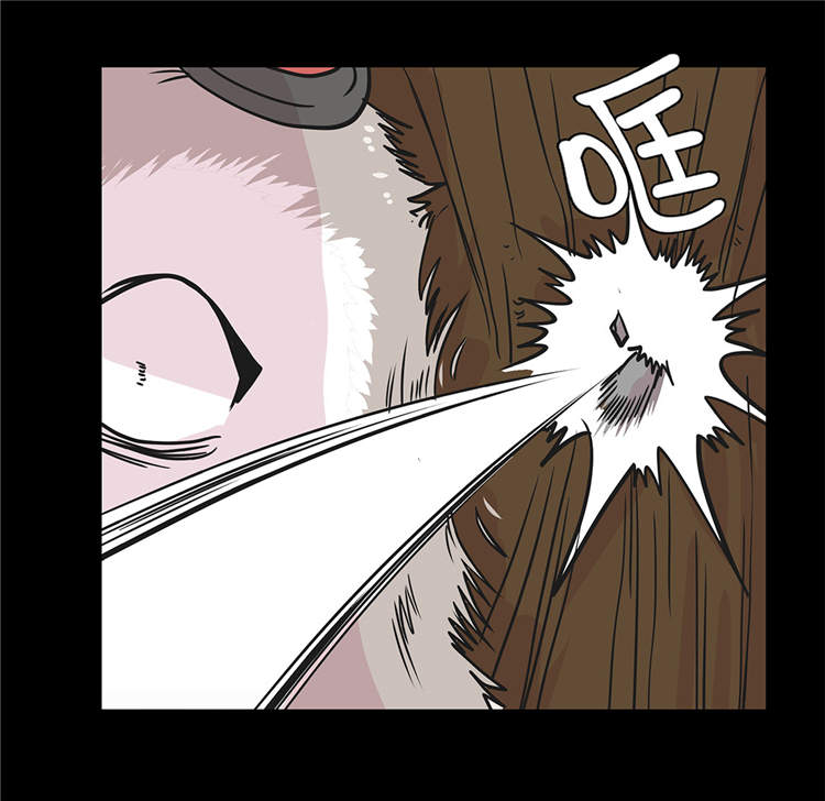 第39章：未来职业2