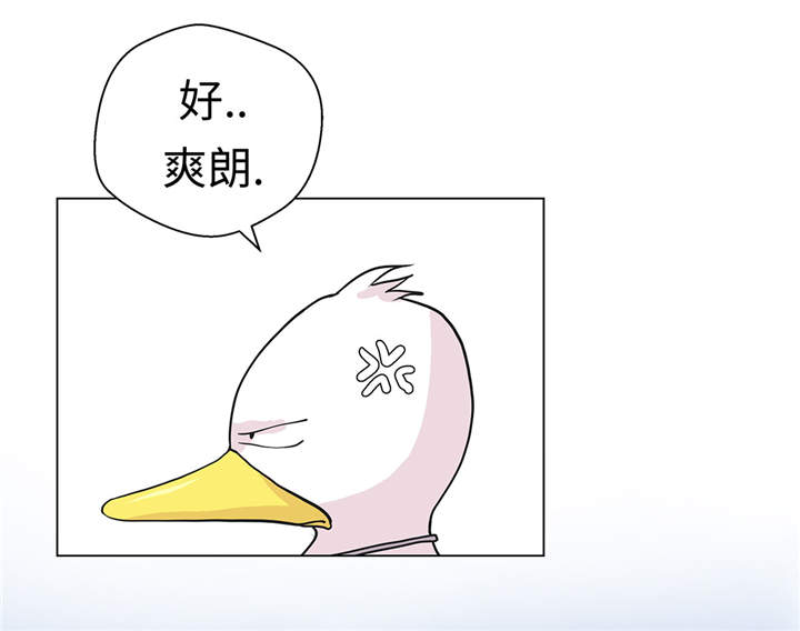 第28章：他没有发现18