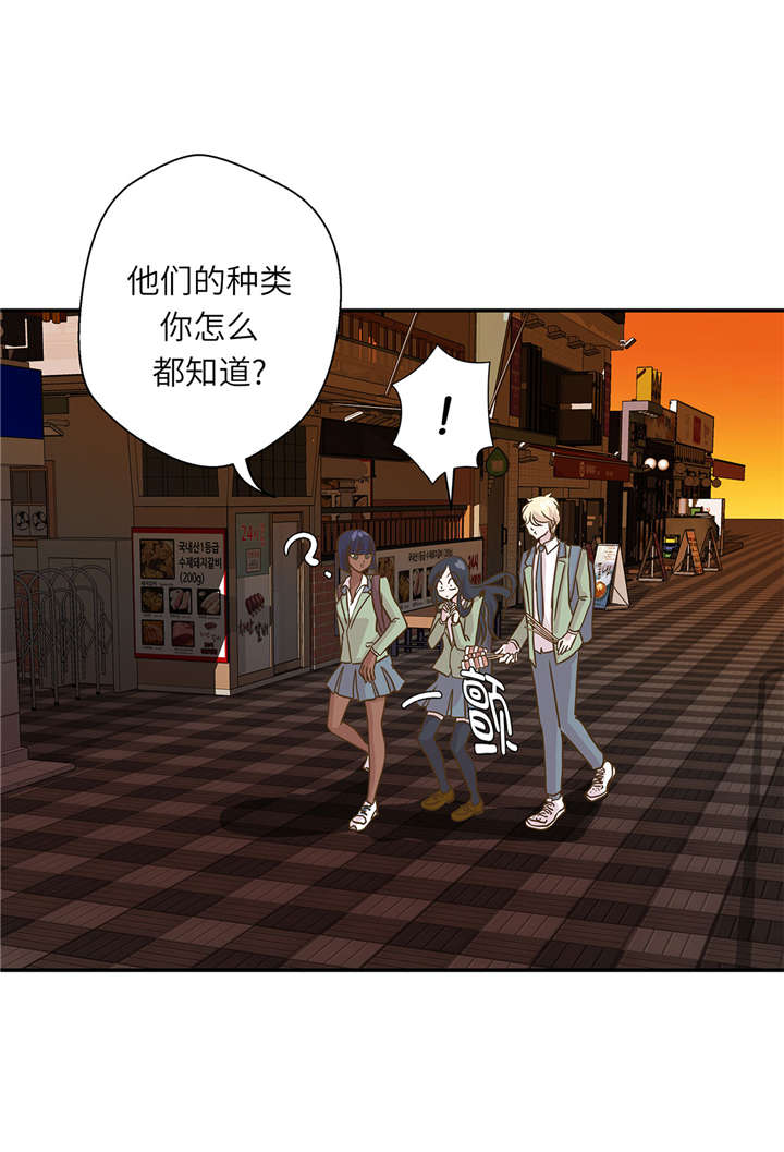 第16章：狮子莱昂20