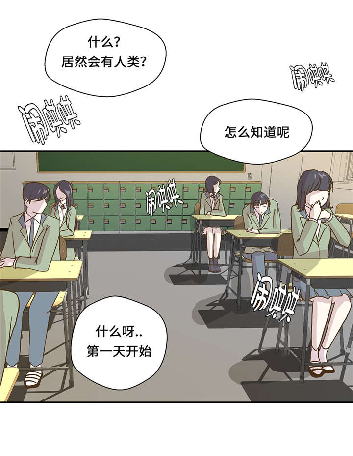 第8章：展示能力吧(上)29