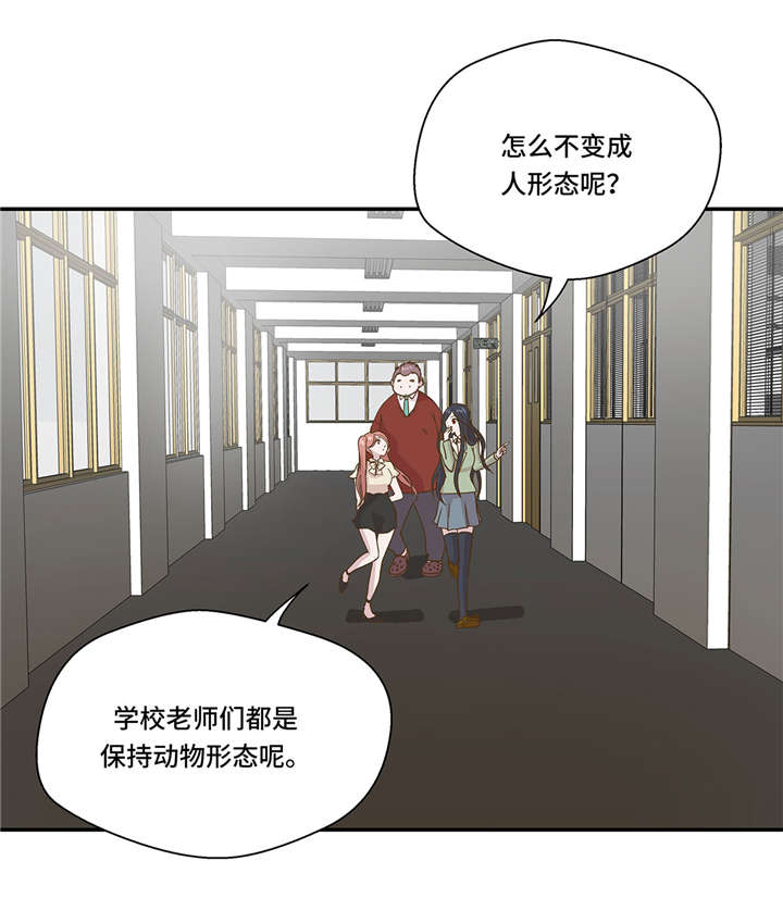 第6章： 被龙选中的人(上)16