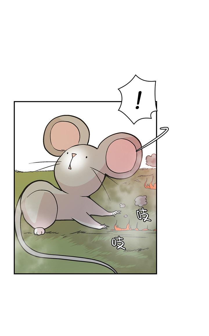 第92章：你真傻2
