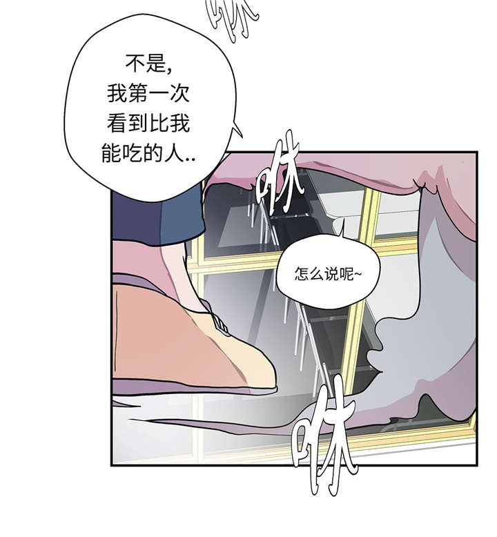 第26章：爱你19