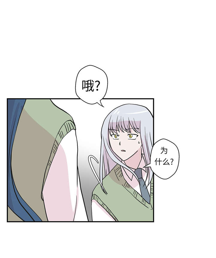 第51章：科学部3