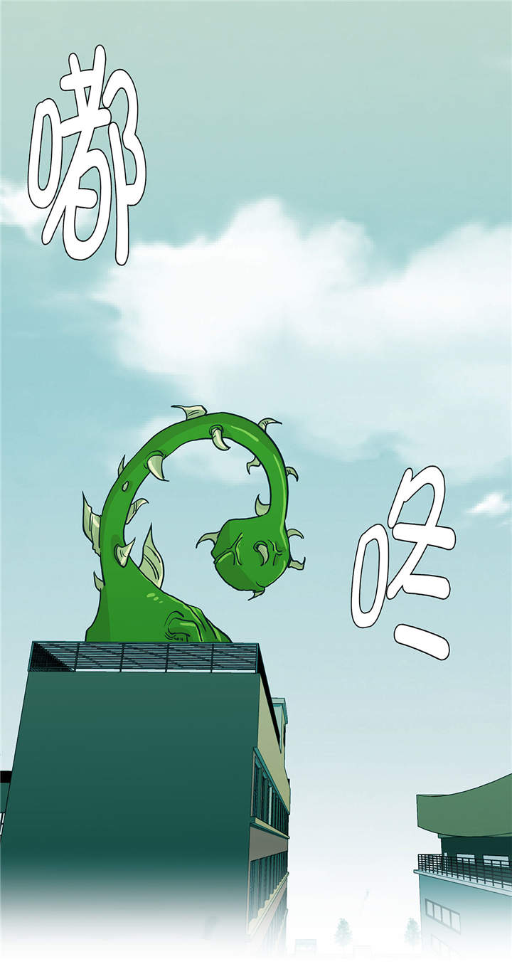 第36章：是龙29