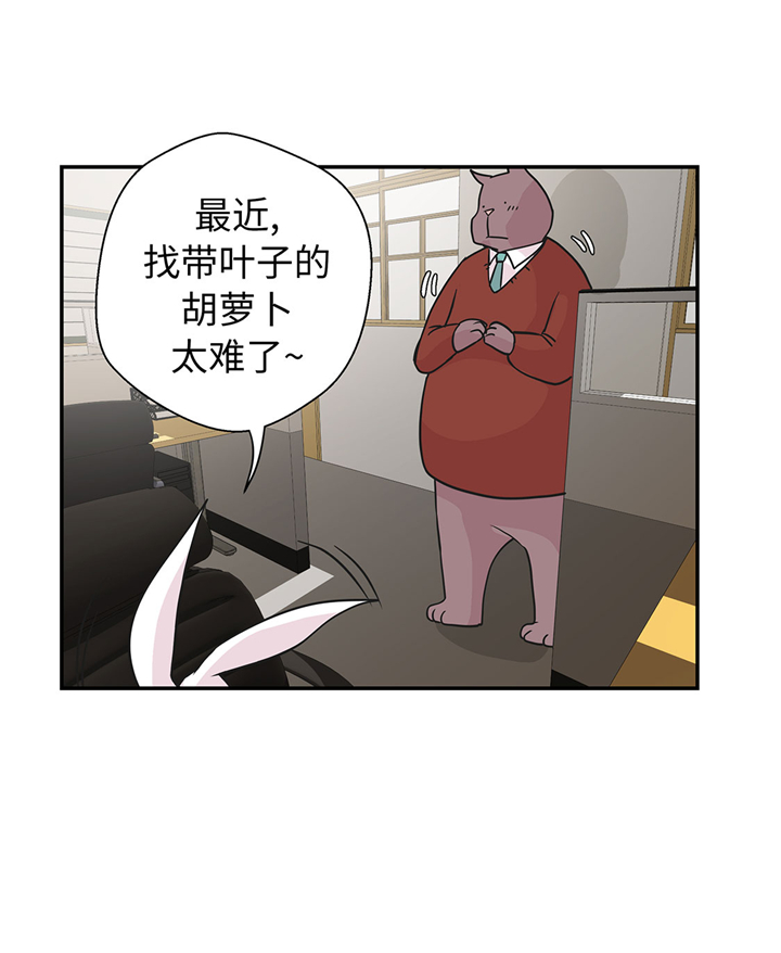 第61章：大萝卜7