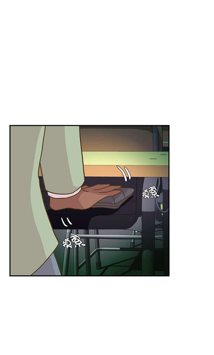第13章：惹事猪5