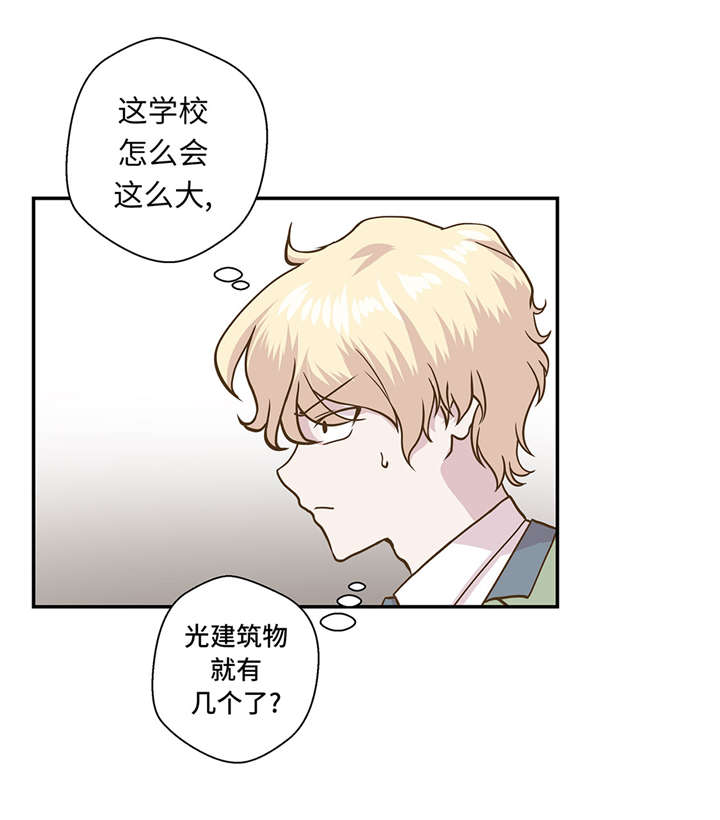 第13章：惹事猪21