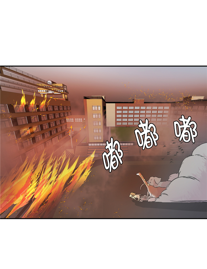 第90章：你这只笨狗！1