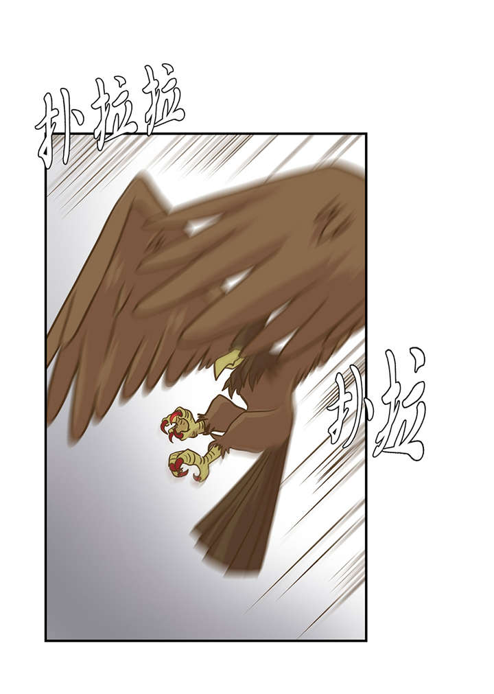 第14章：不是动物35