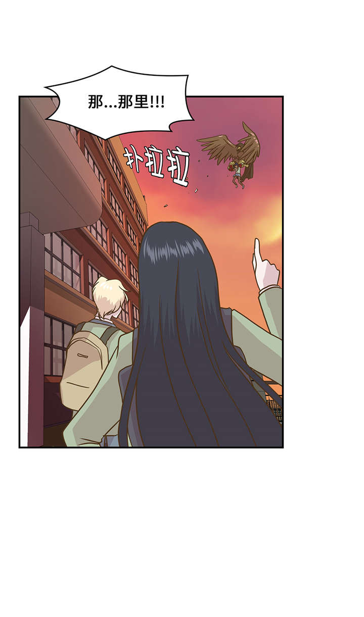 第14章：不是动物8