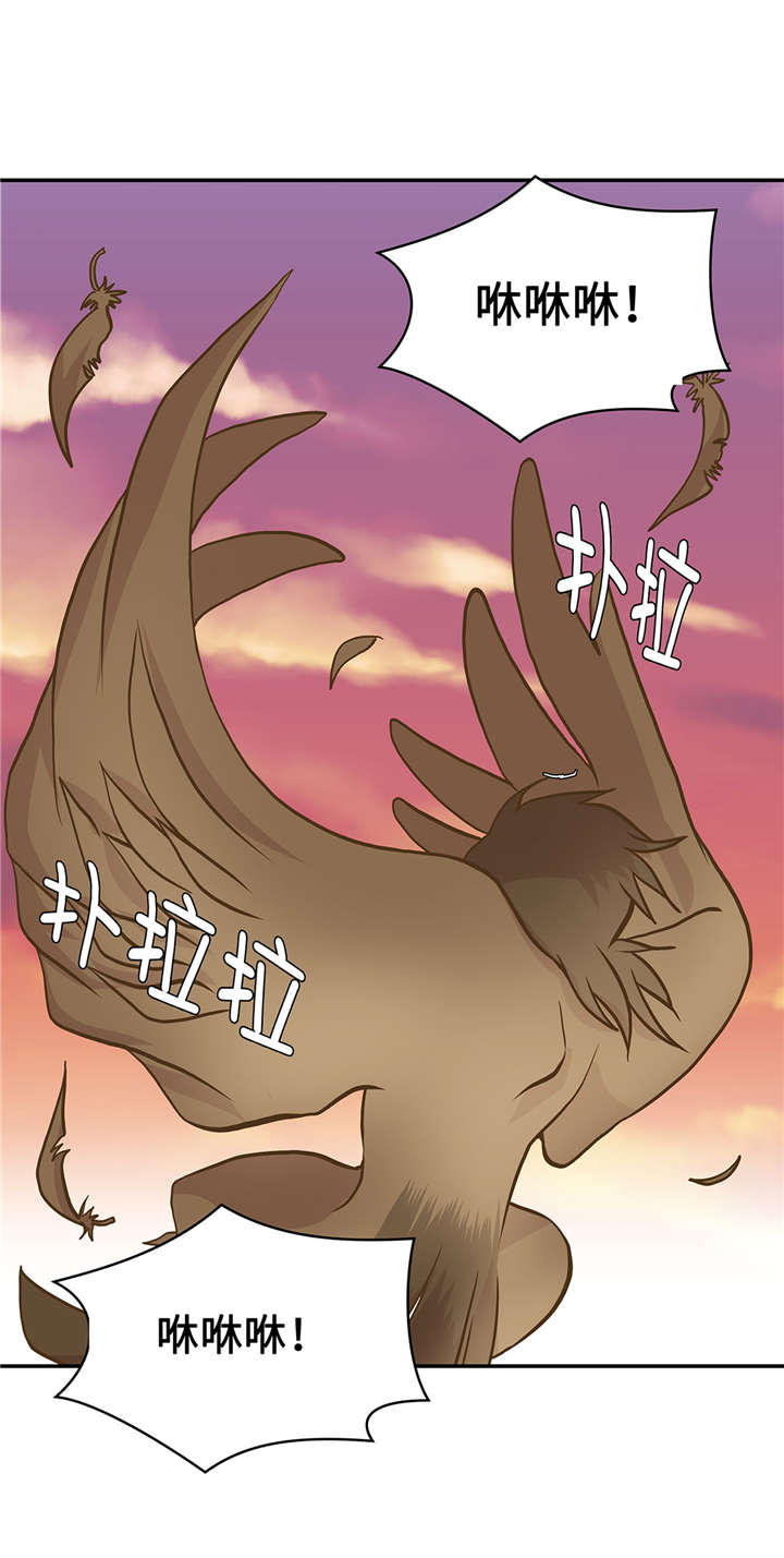 第15章：什么都做不了25