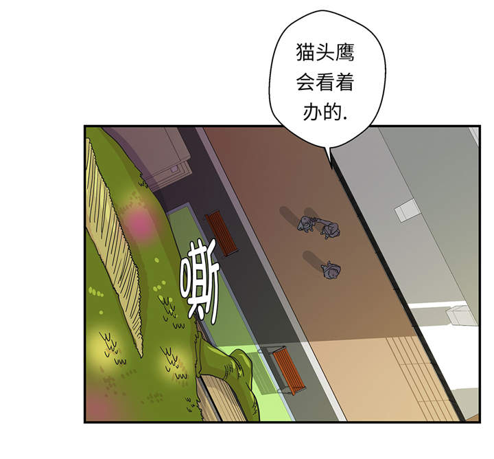 第36章：是龙20
