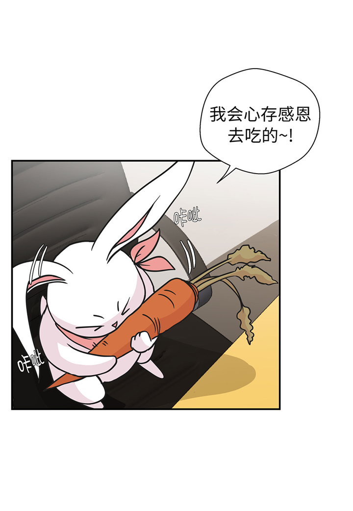 第61章：大萝卜6