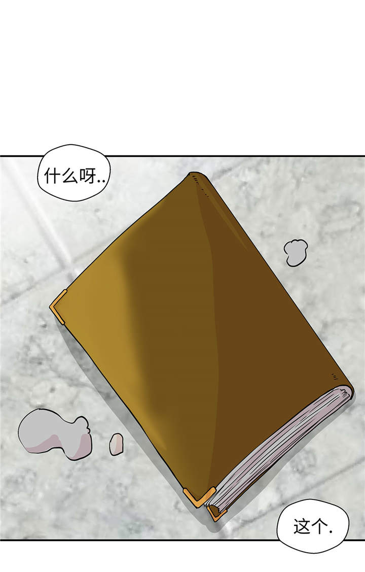 第49章：传说中的龙21