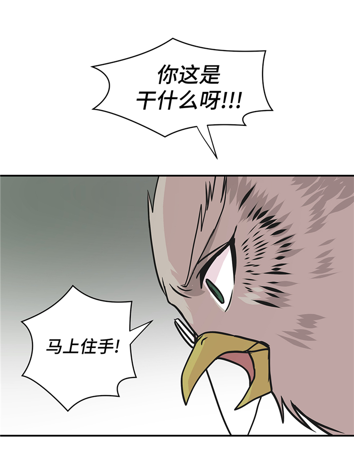 第81章：会场袭击9