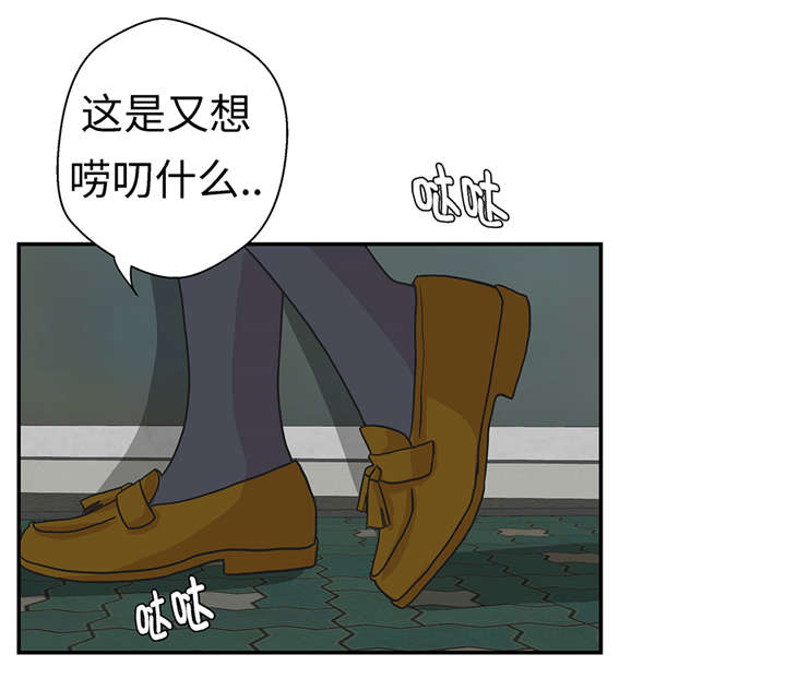 第21章：有人跟踪17