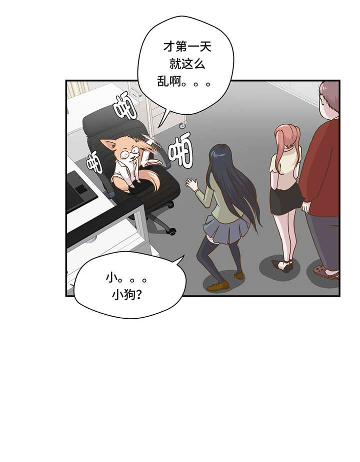 第6章： 被龙选中的人(上)13