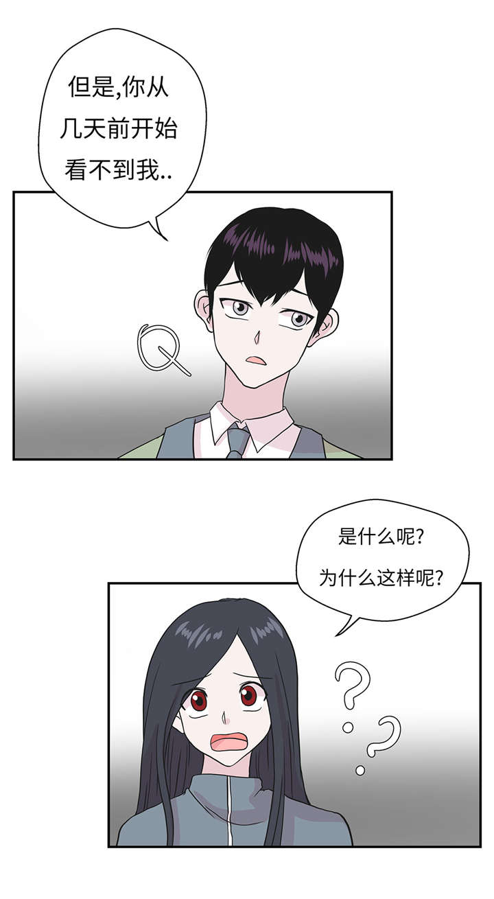 第31章： 只为见到你8