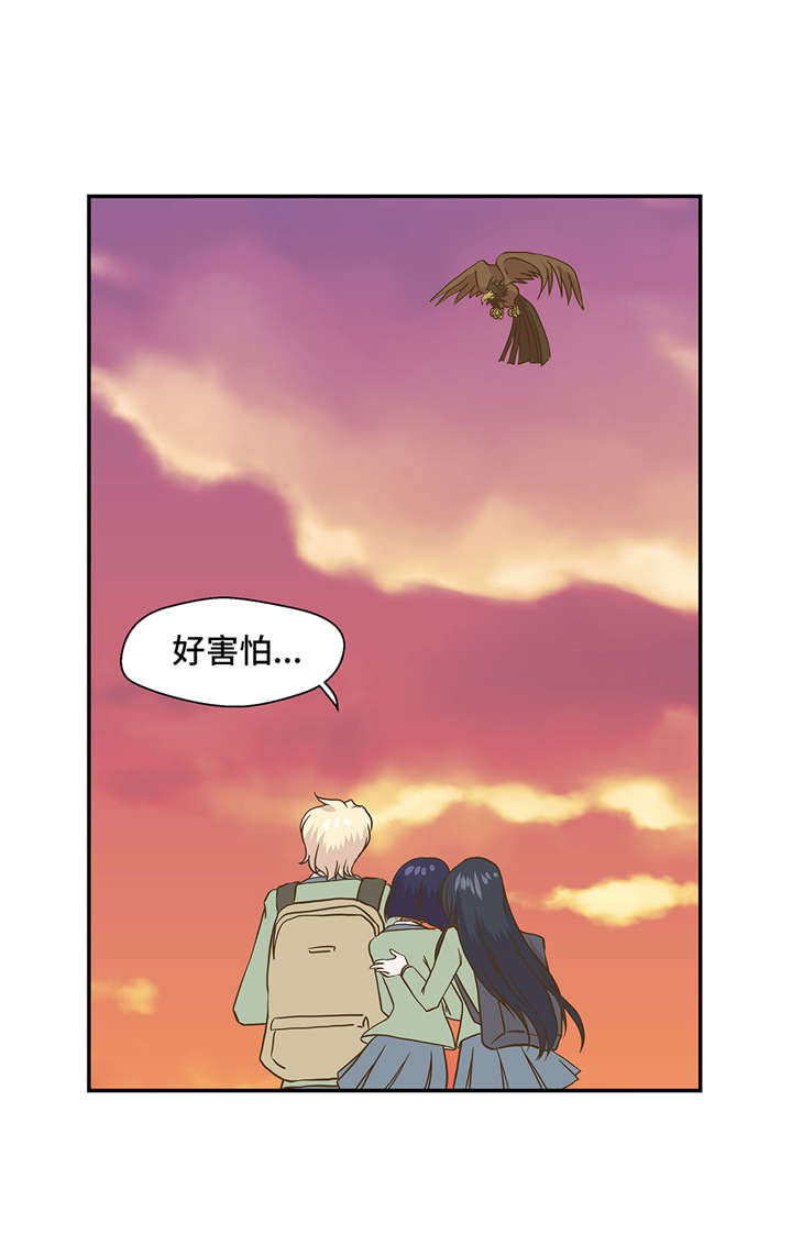 第14章：不是动物33