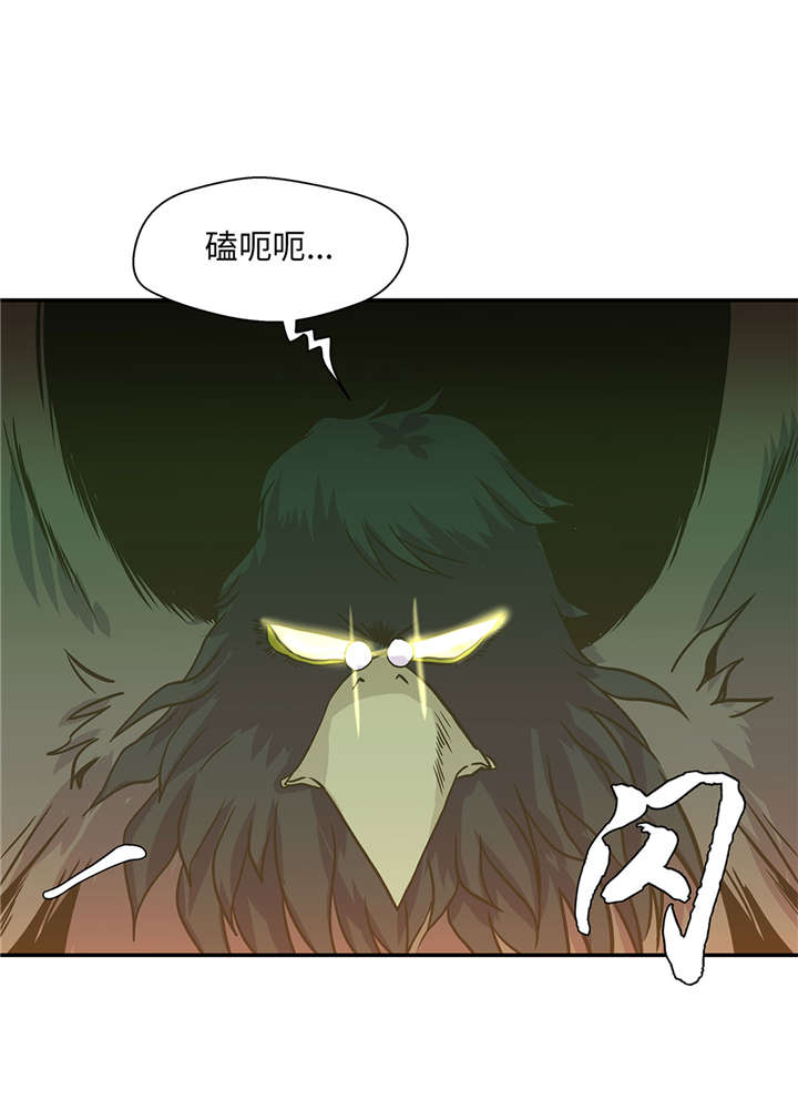 第14章：不是动物34