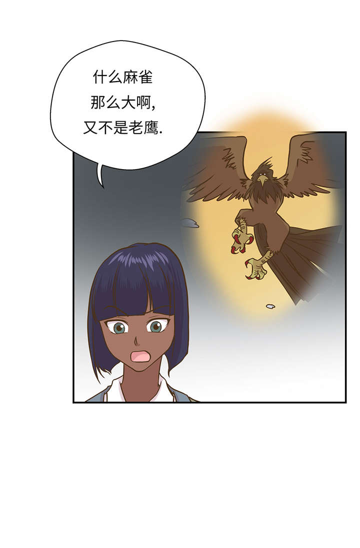 第16章：狮子莱昂19
