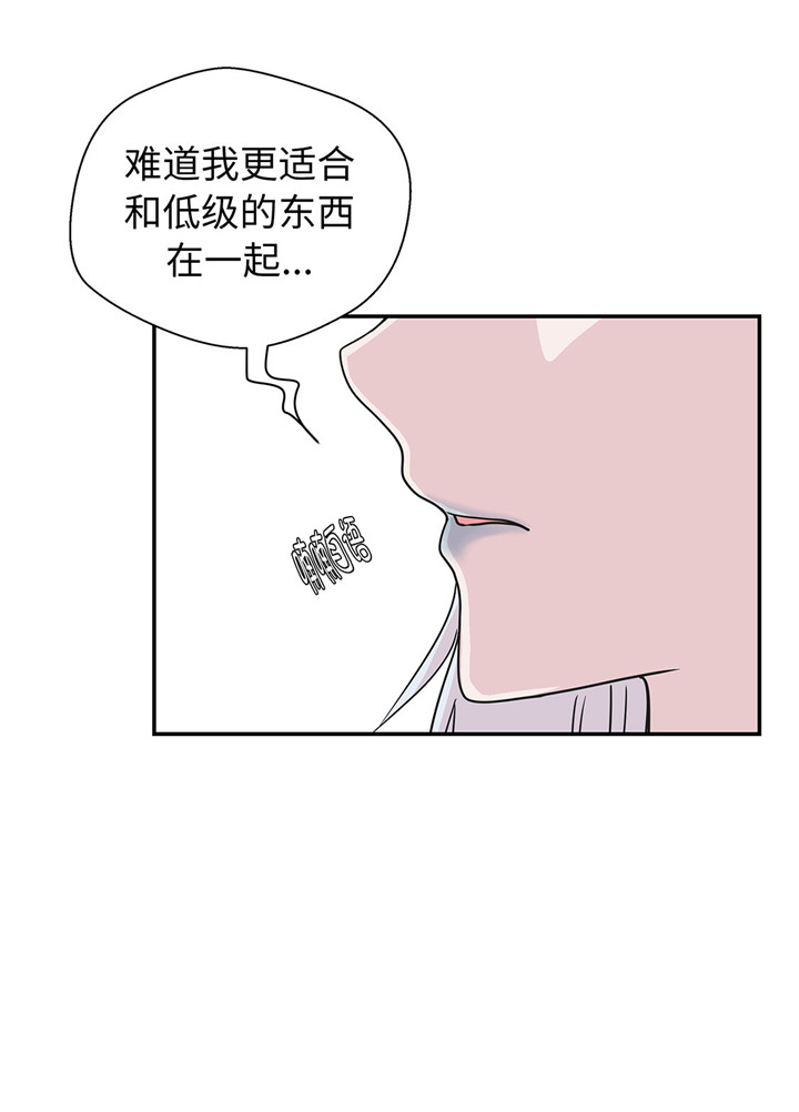 第60章：低级别34