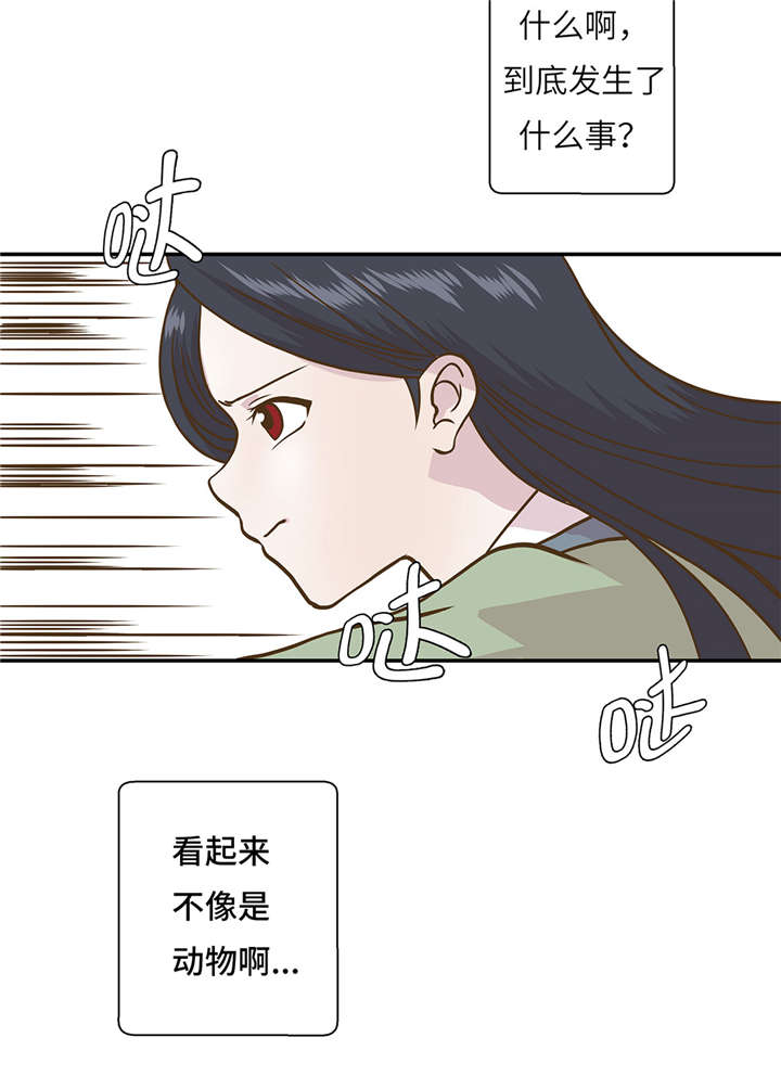 第14章：不是动物14