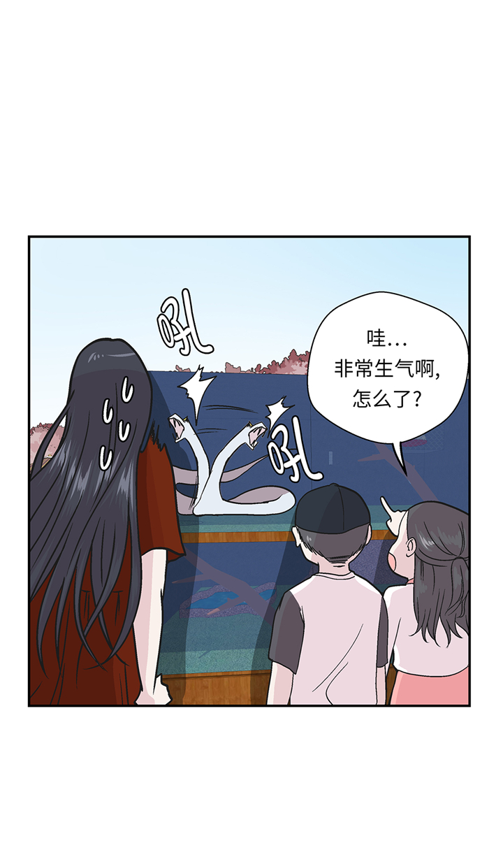 第95章：大结局17