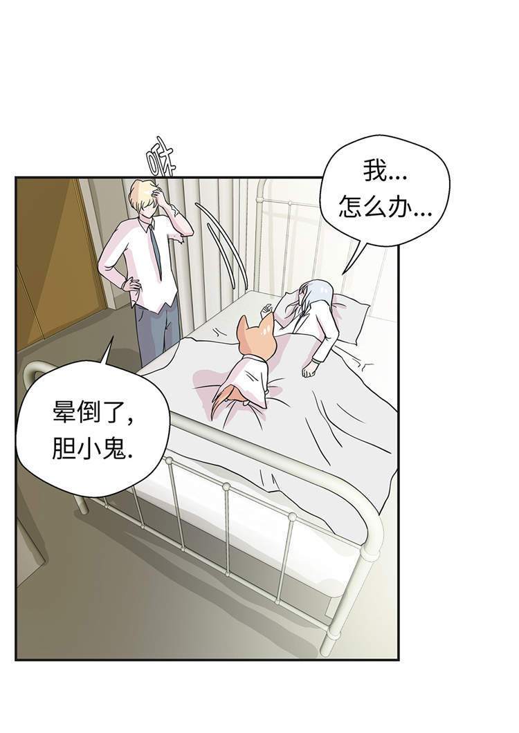 第44章：昏迷15