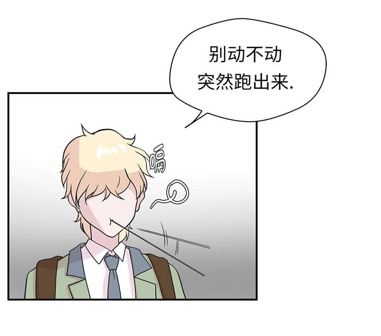 第37章：完美的靶子10