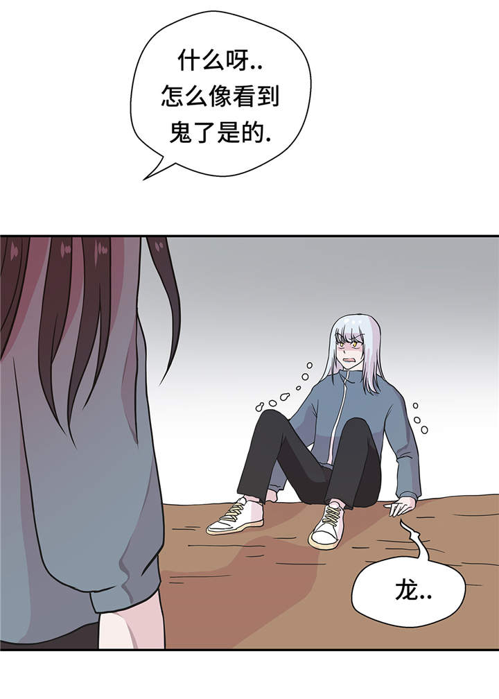 第36章：是龙4