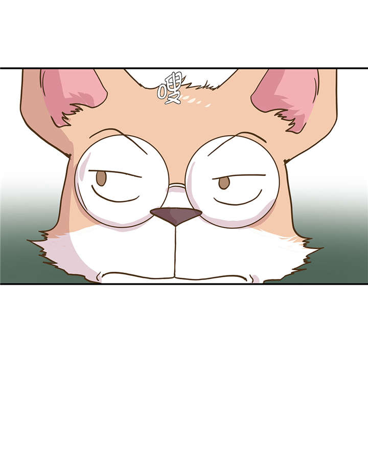 第16章：狮子莱昂5