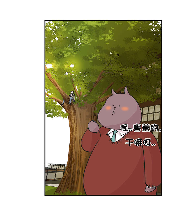第20章：漂亮的名字25