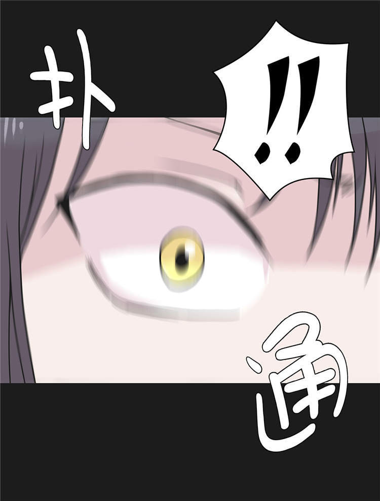 第44章：昏迷10