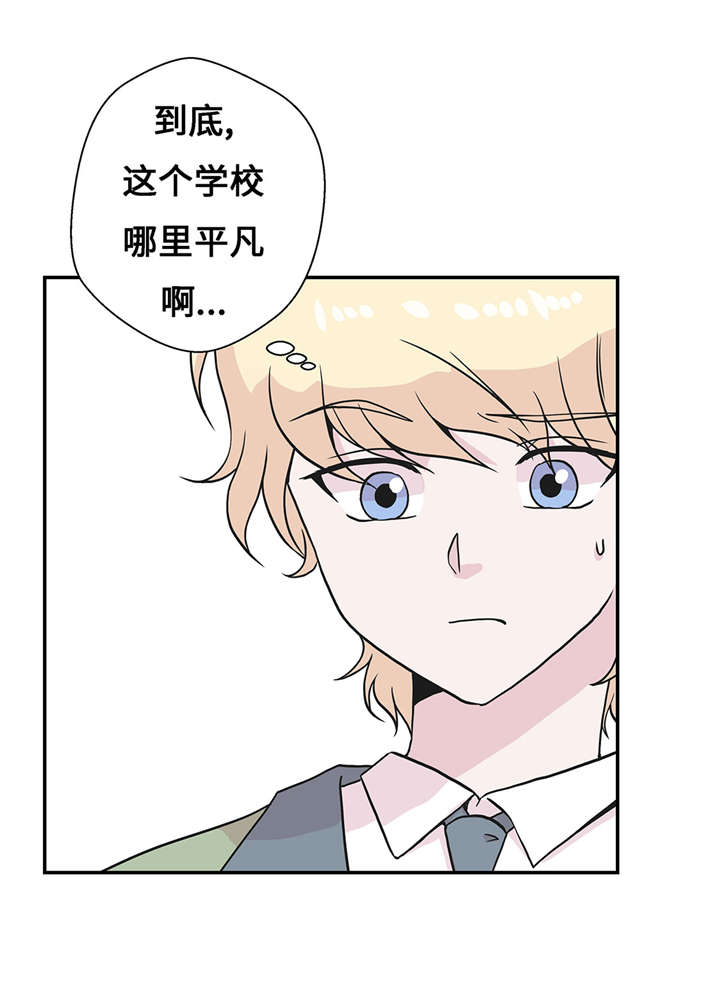 第20章：漂亮的名字26