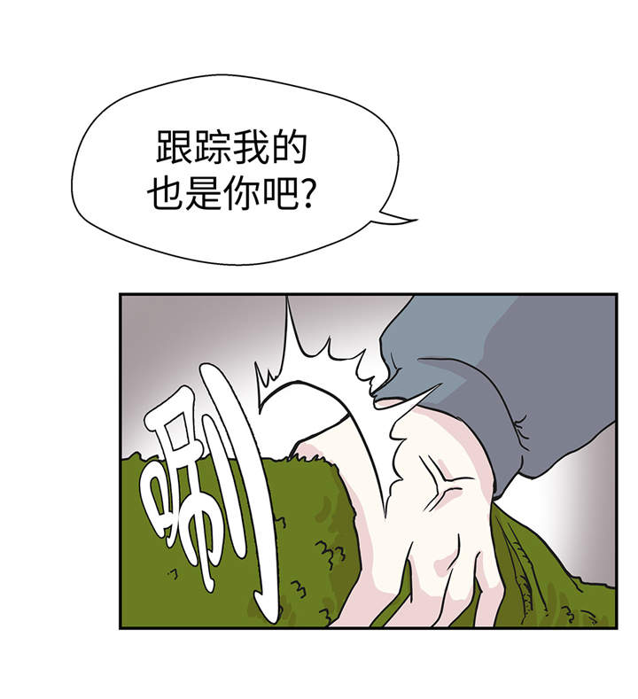 第34章：显露实力19