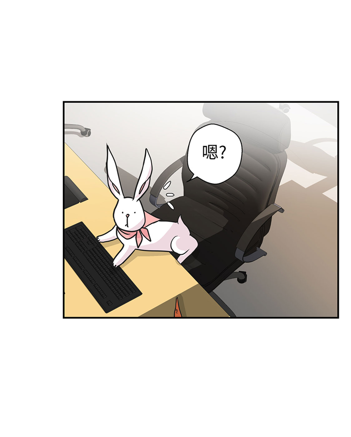 第61章：大萝卜3