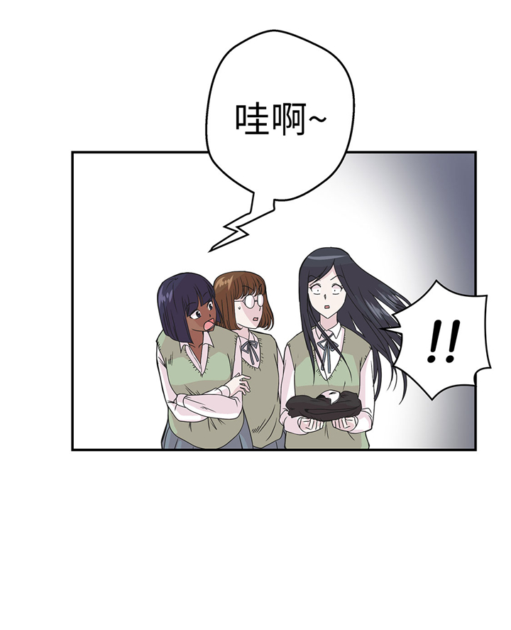 第74章：真是搞笑26