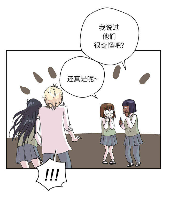 第75章：真是搞笑14