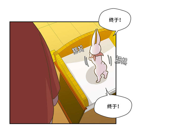 第1章：动物高中35