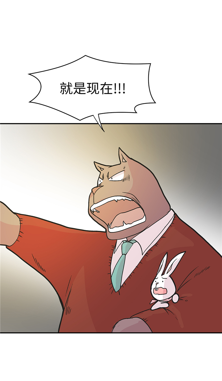 第91章：不要放弃，如意！11