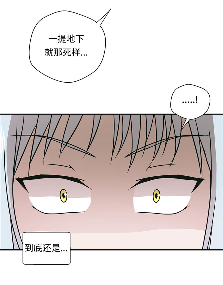 第58章：地下还有东西25