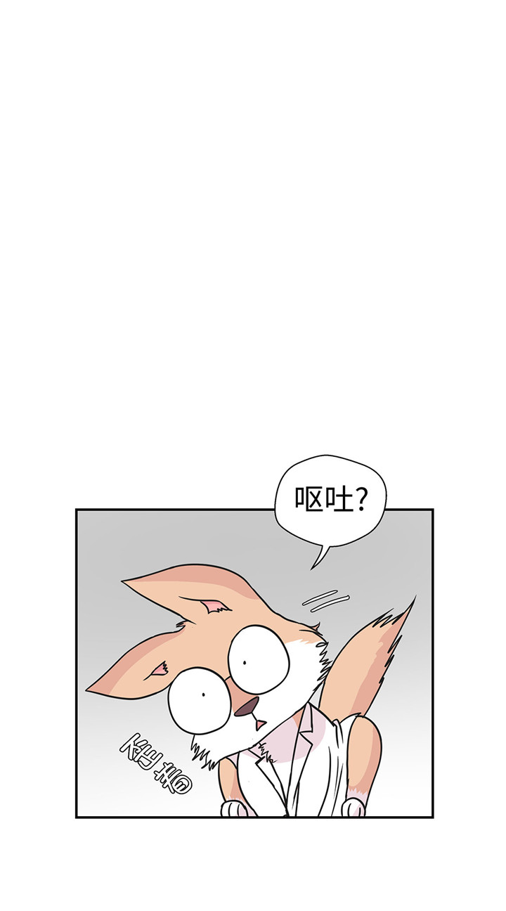 第60章：低级别21