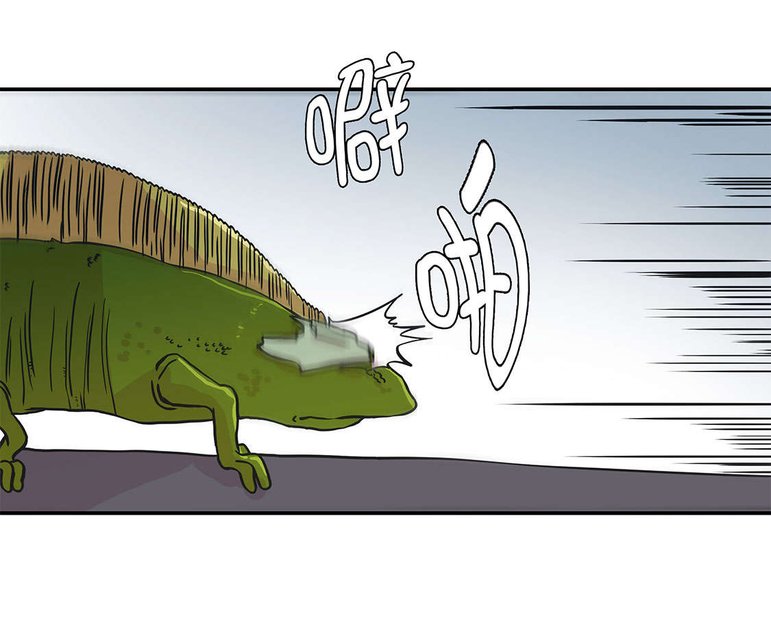 第42章：坚持住13