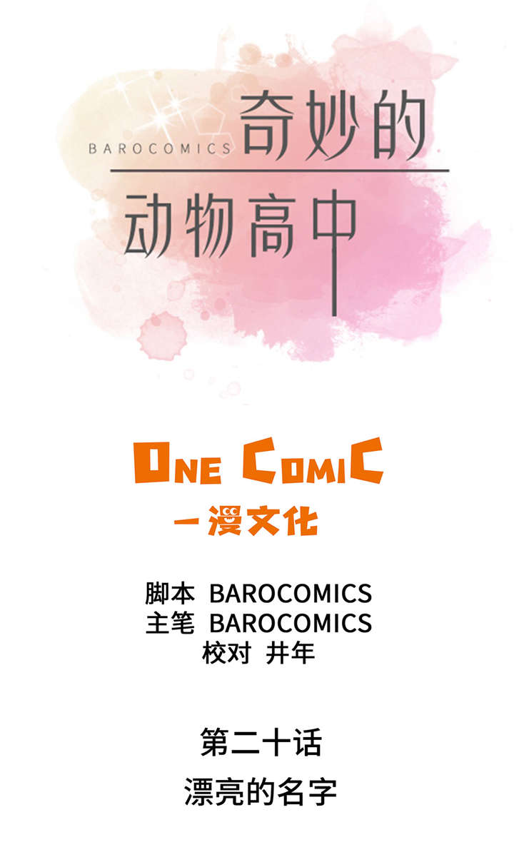 第20章：漂亮的名字6