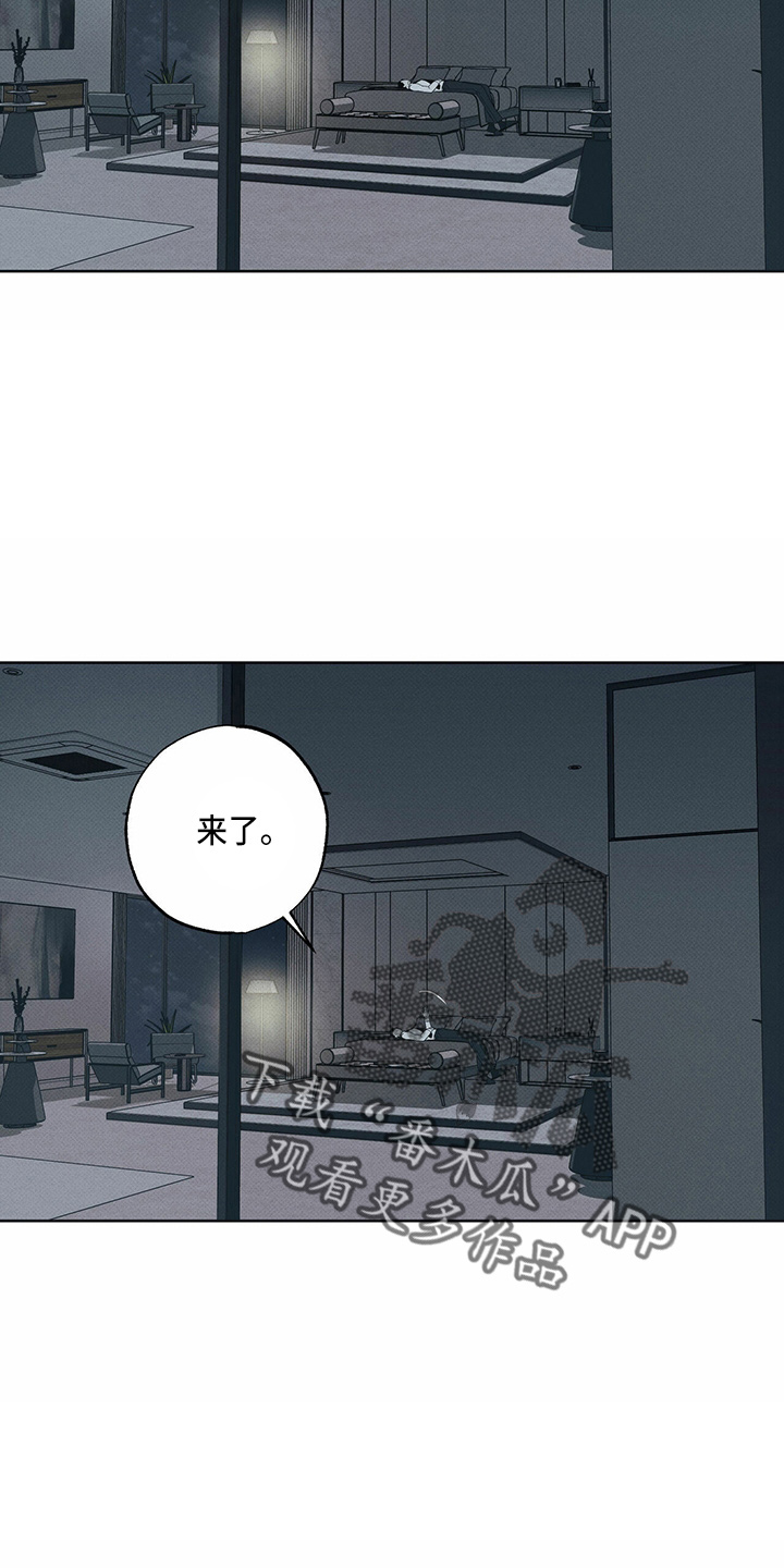 第54章：来了3