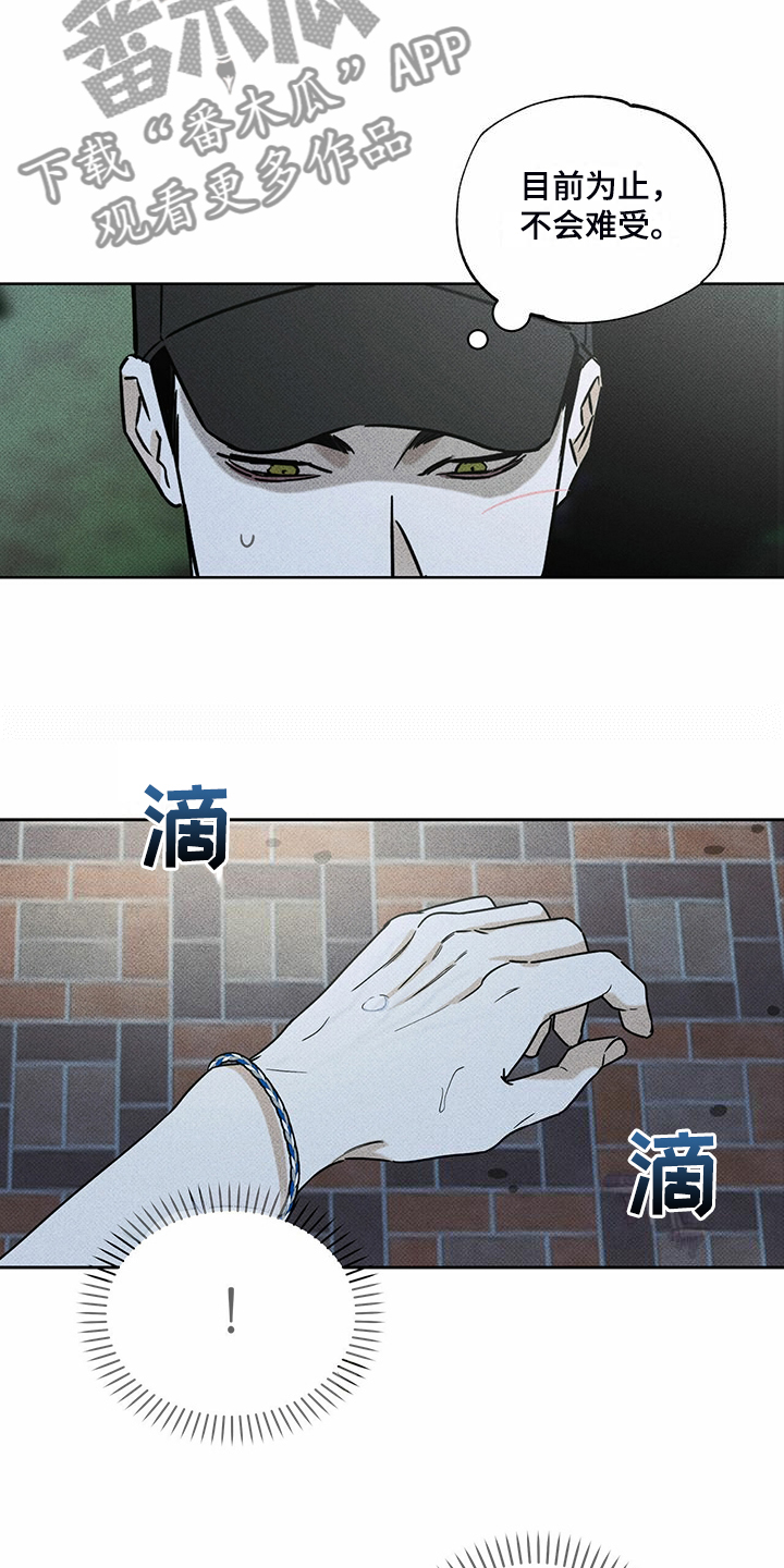 第44章：明显的答案8