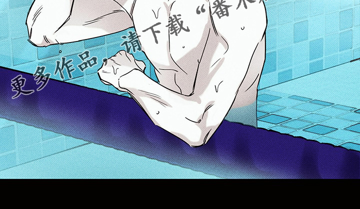 第44章：明显的答案31