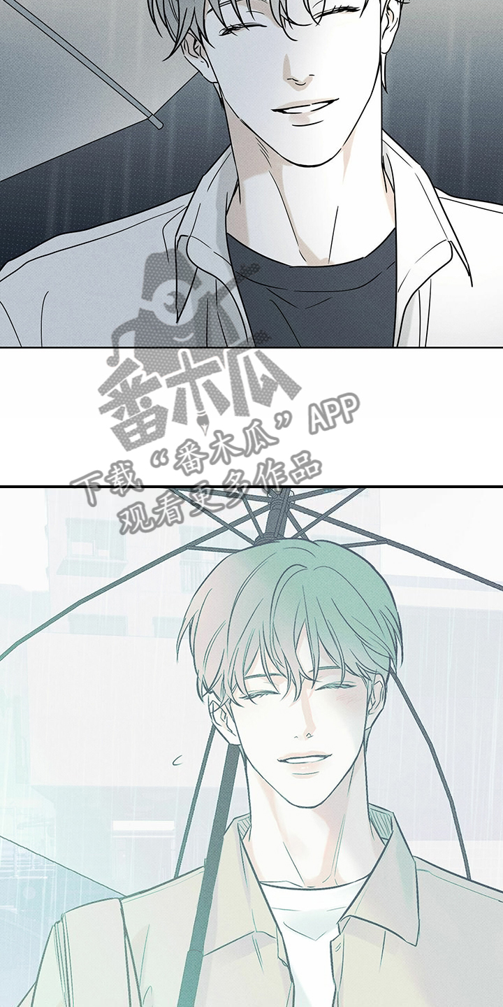 第44章：明显的答案13